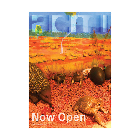 ACMI Street Poster - Edie Kurzer