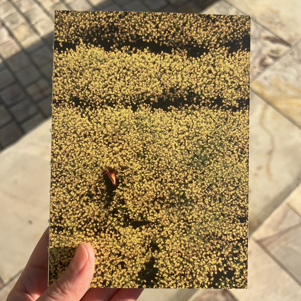 Jen Valender: Artist As Animal - Notebook