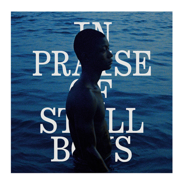 TVF: Julian Knxx - In Praise Of Still Boys - LP Vinyl
