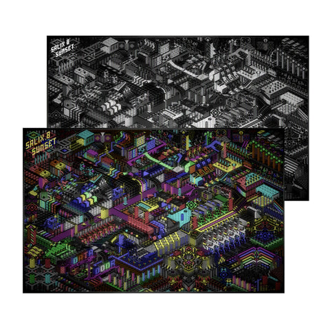 Tim Koch x ACMI - Salix8 Sunset - Double Sided Poster