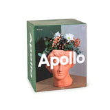 Apollo Vase: Terracotta