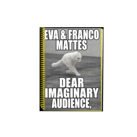 Dear Imaginary Audience - Softcover